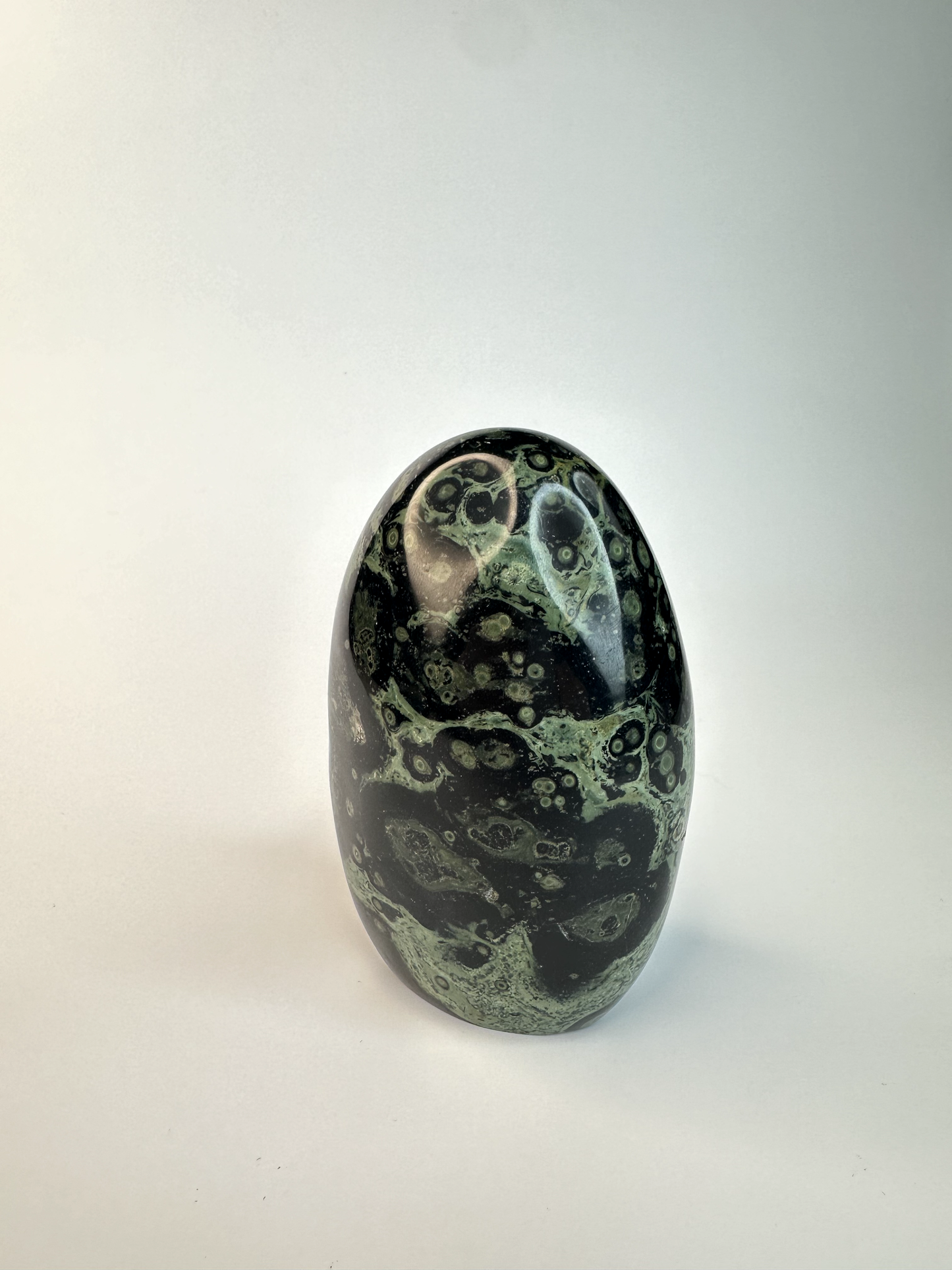 Kambaba Jasper Free Form 3