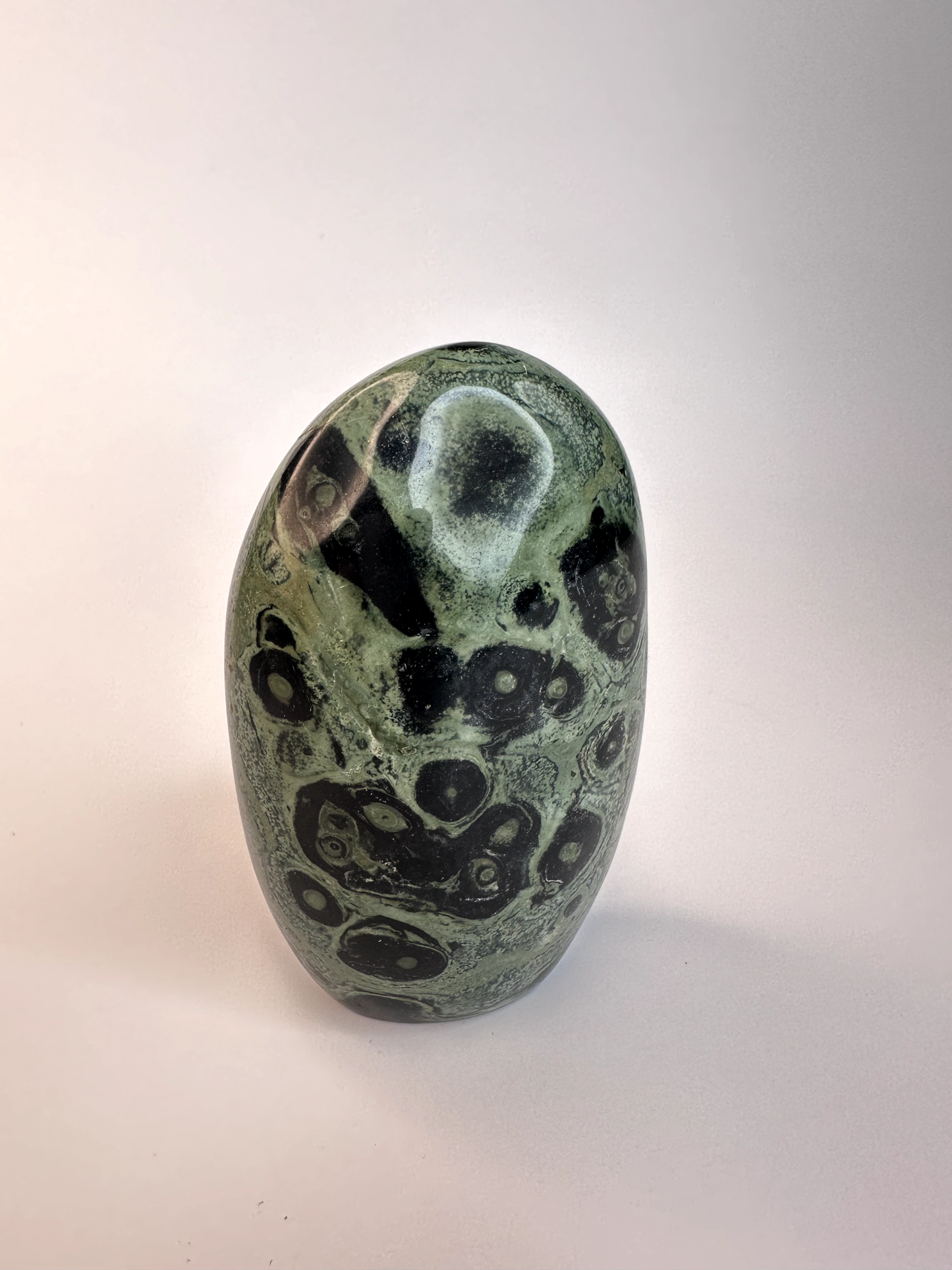 Kambaba Jasper Free Form 2
