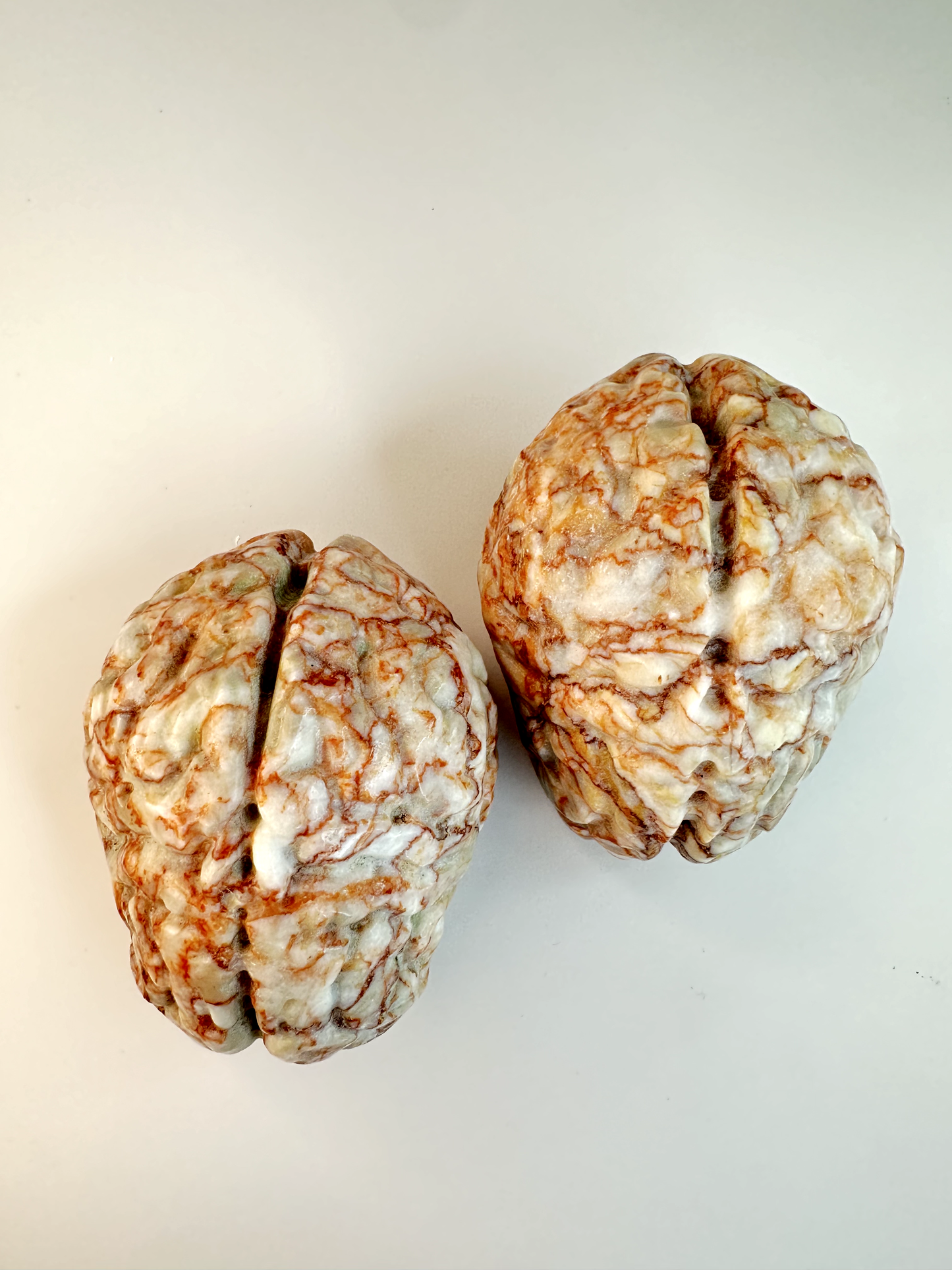 Red Vein Jasper Brain