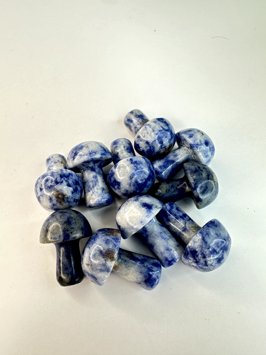 Mini Sodalite Mushroom