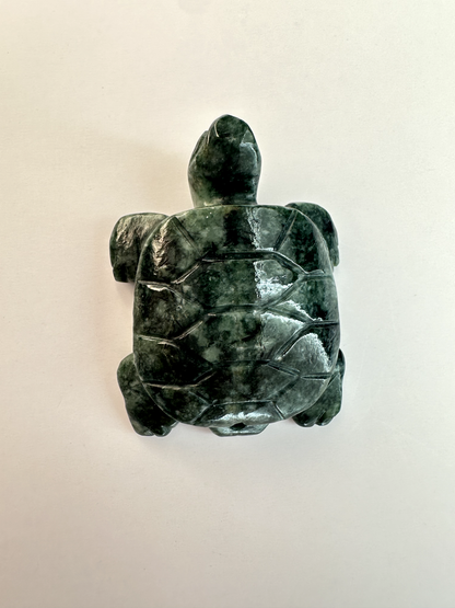 Guatemalan Jade Drilled Turtle