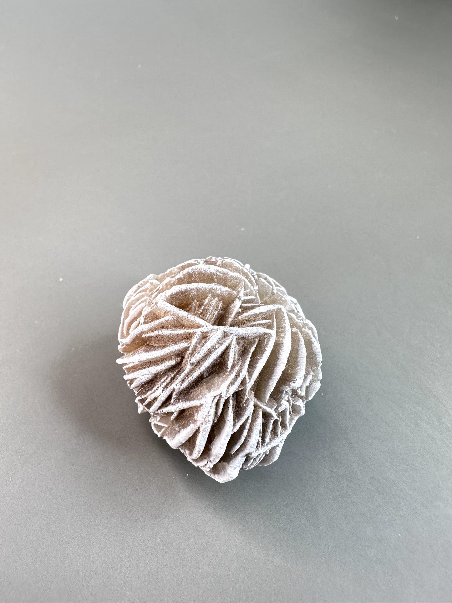 Desert Rose (Gypsum)