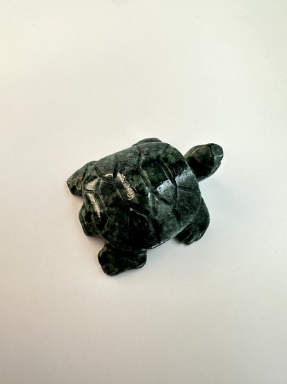 Guatemalan Jade Drilled Turtle