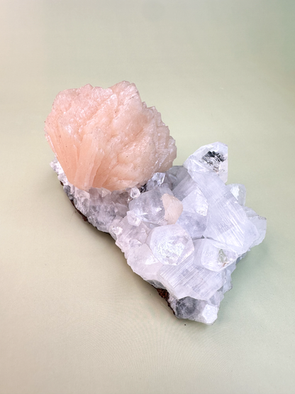 Raw Apophyllite Cluster with Stilbite MED