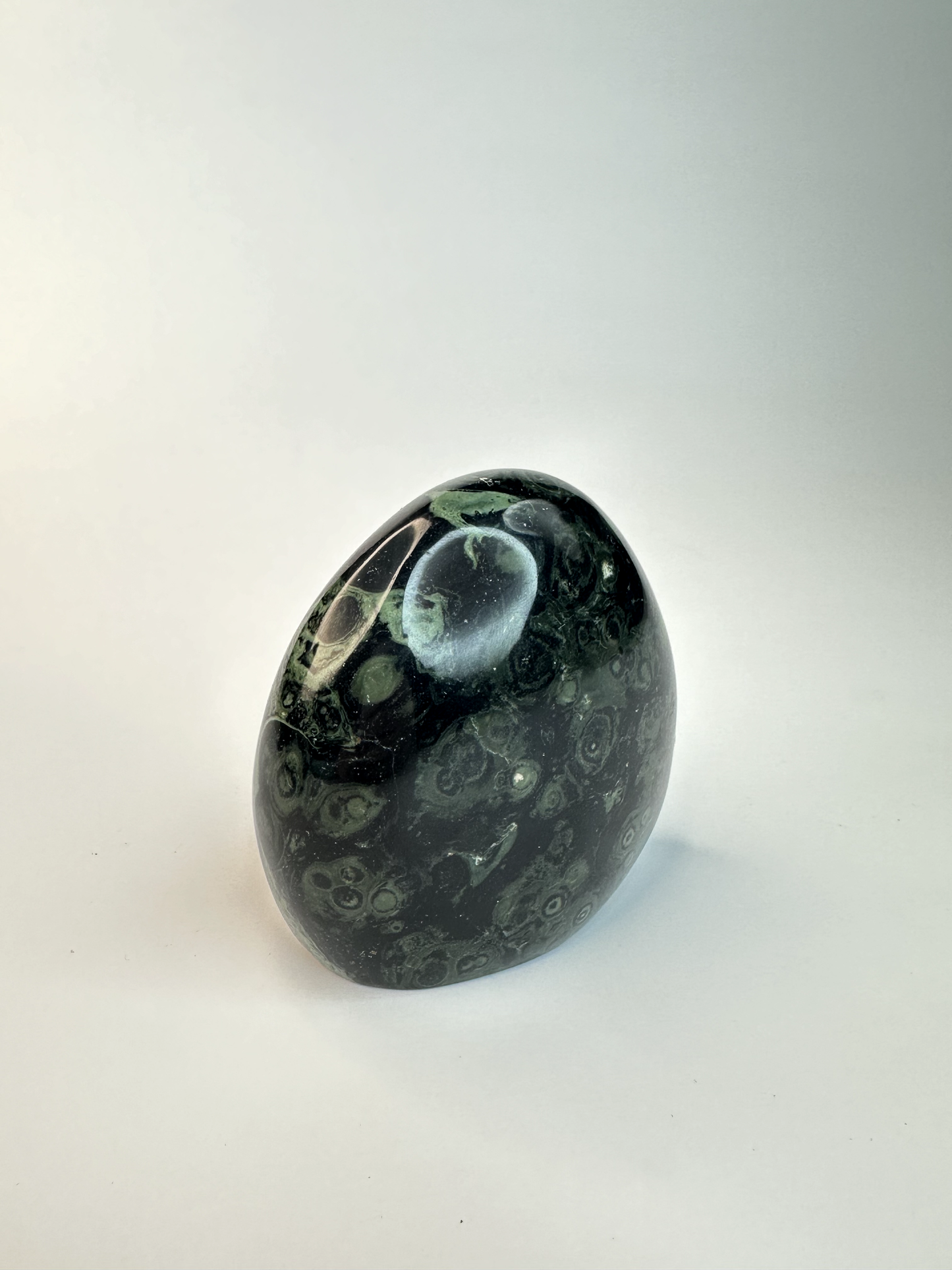 Kambaba Jasper Free Form 1