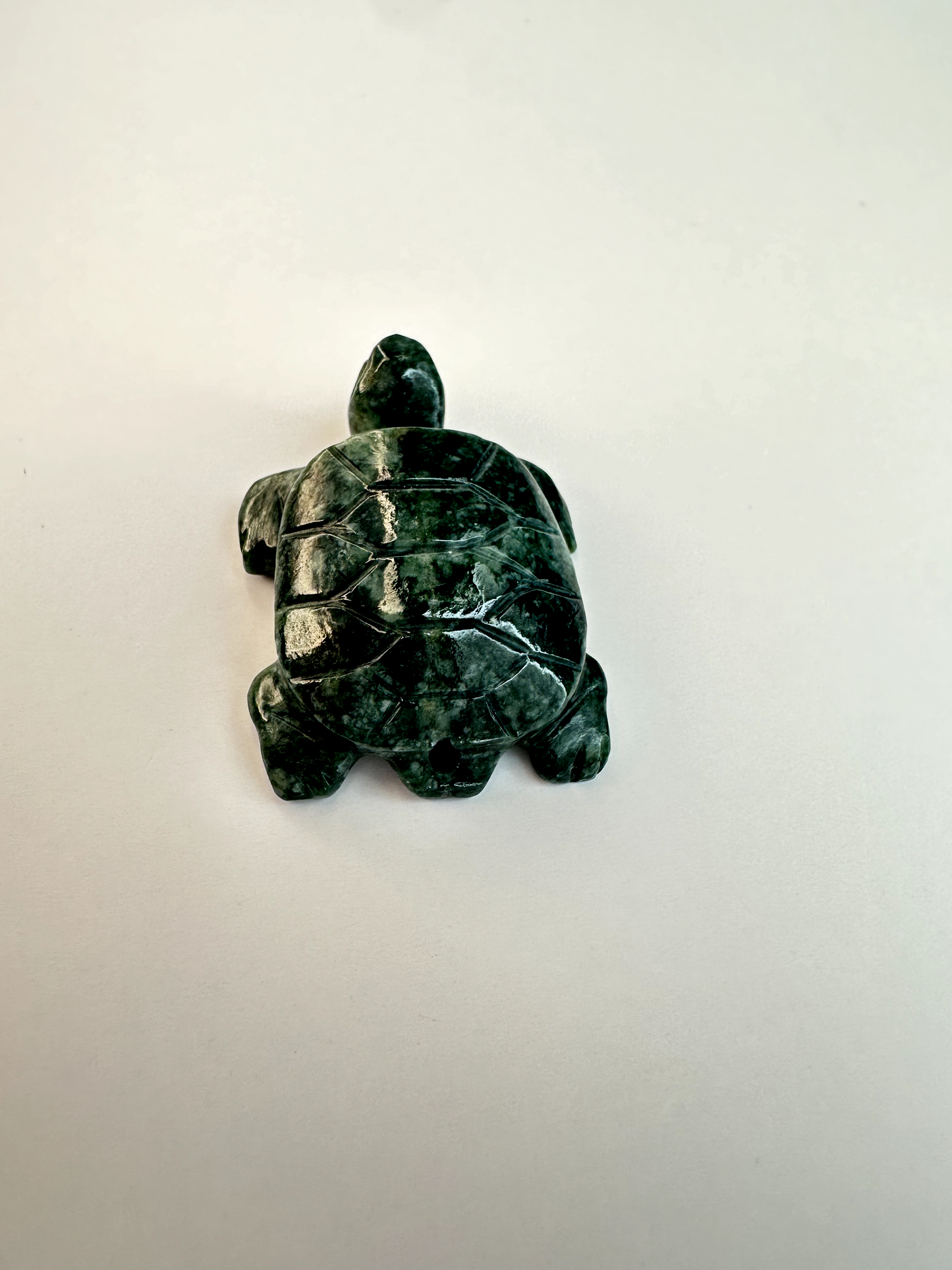 Guatemalan Jade Drilled Turtle