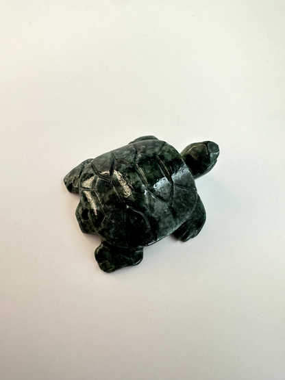 Guatemalan Jade Drilled Turtle