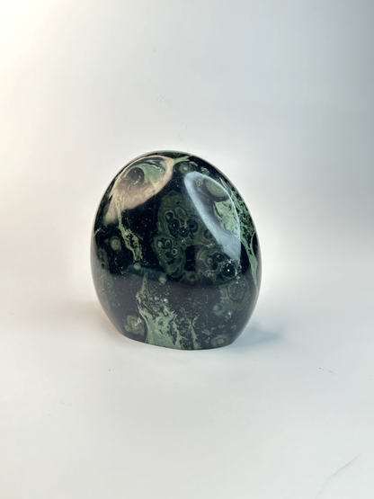 Kambaba Jasper Free Form 1