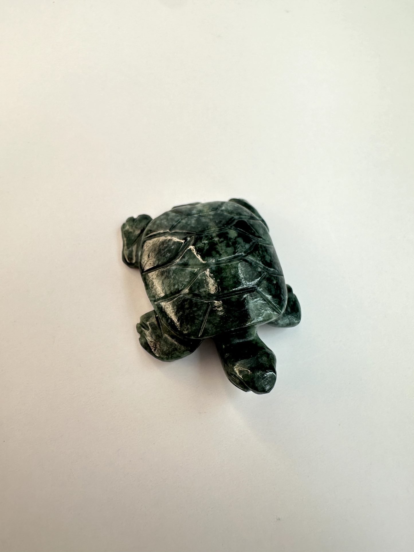 Guatemalan Jade Drilled Turtle