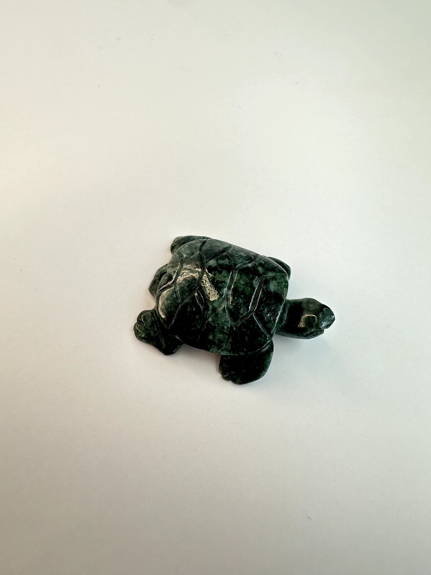 Guatemalan Jade Drilled Turtle