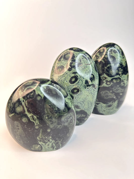 Kambaba Jasper Free Form 3